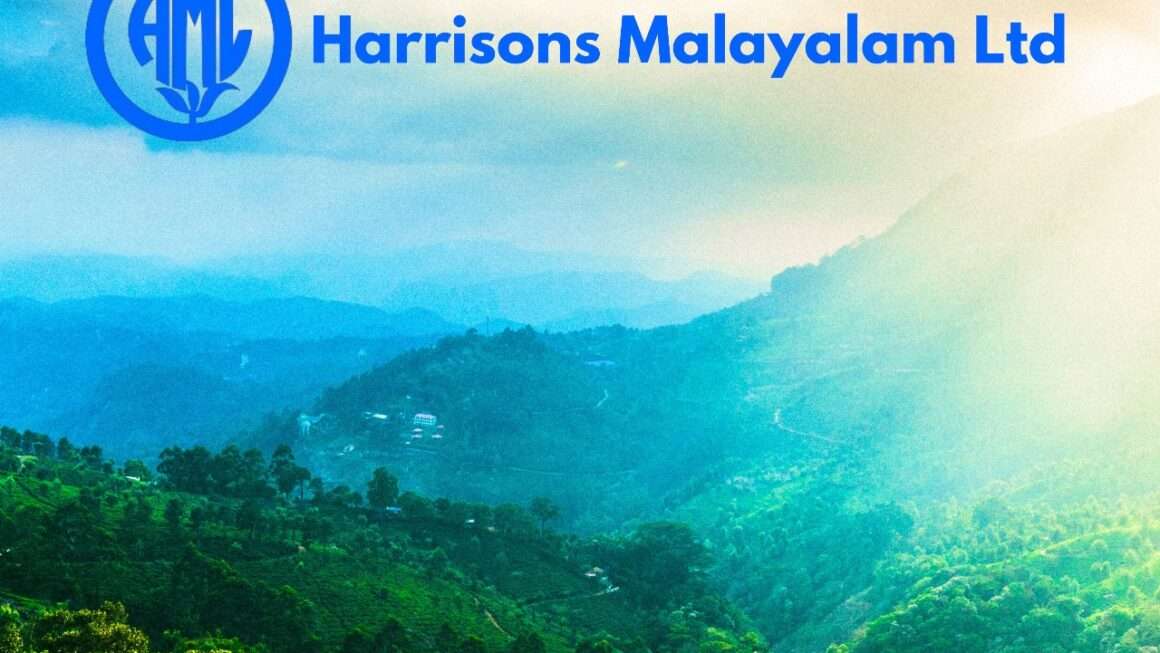 Stock Analysis – Harrisons Malayalam Ltd.