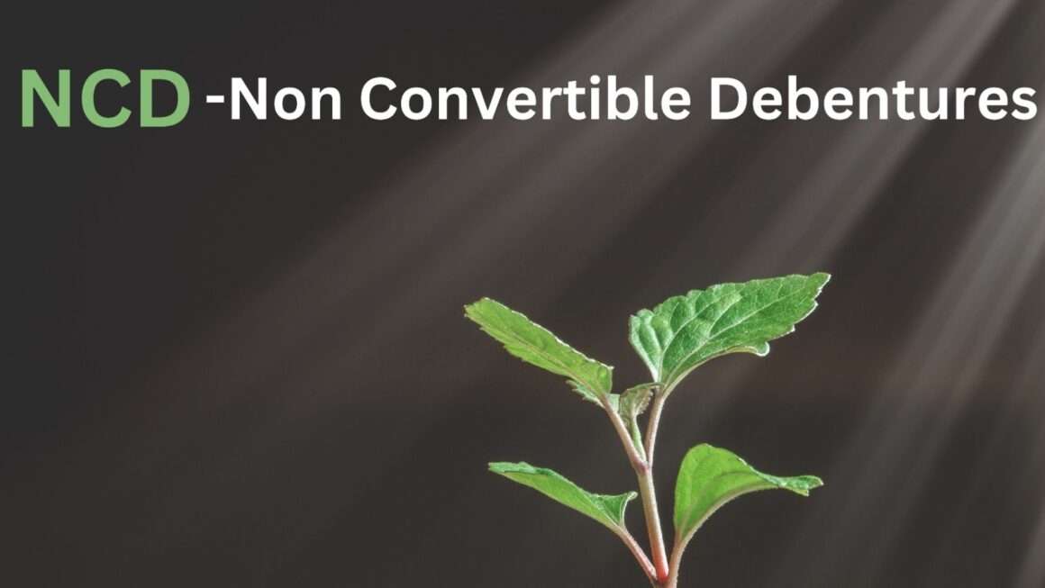 NCD-Non Convertible Debentures என்றால் என்ன?