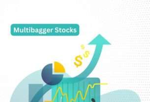 மல்டிபேக்கர் (Multibagger) பங்குகள் பற்றிய தகவல்கள்